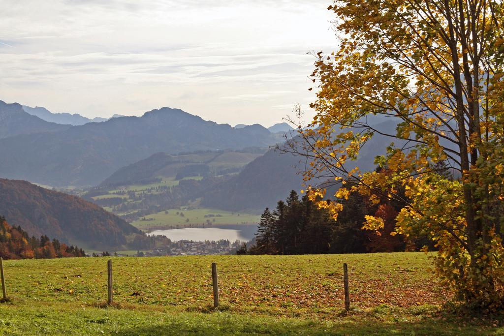 Mountain Inn Chalets & Apartments Walchsee Exteriör bild